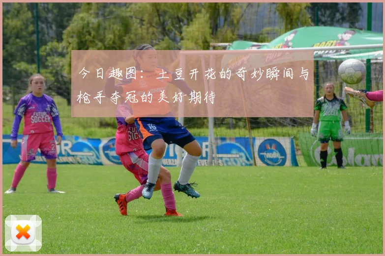 今日趣图：土豆开花的奇妙瞬间与枪手夺冠的美好期待