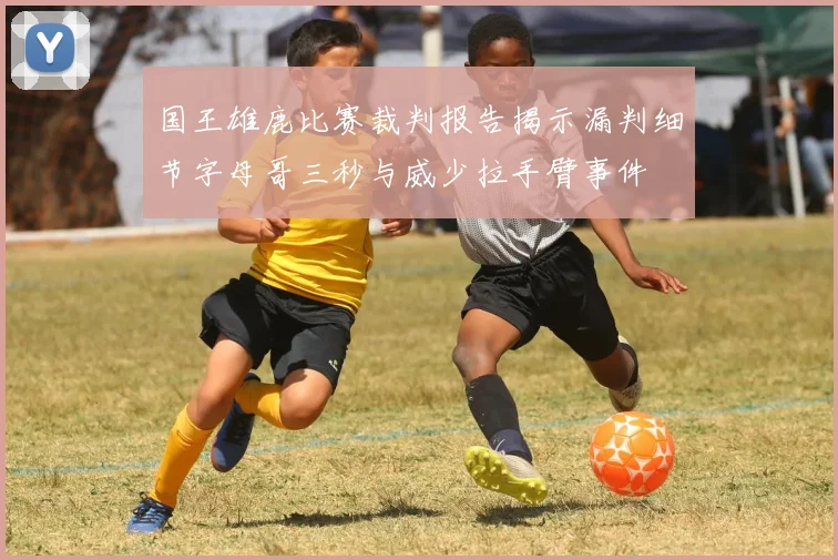 国王雄鹿比赛裁判报告揭示漏判细节字母哥三秒与威少拉手臂事件