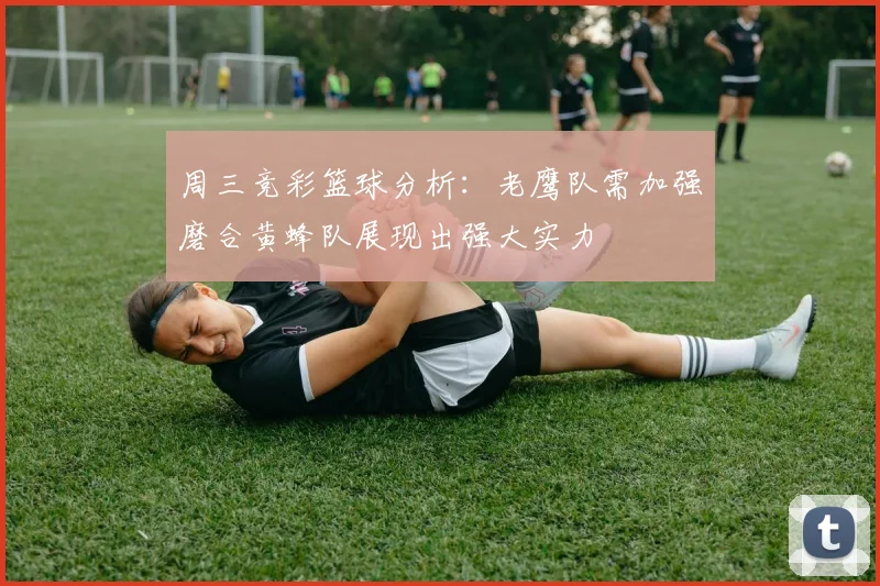 周三竞彩篮球分析：老鹰队需加强磨合黄蜂队展现出强大实力
