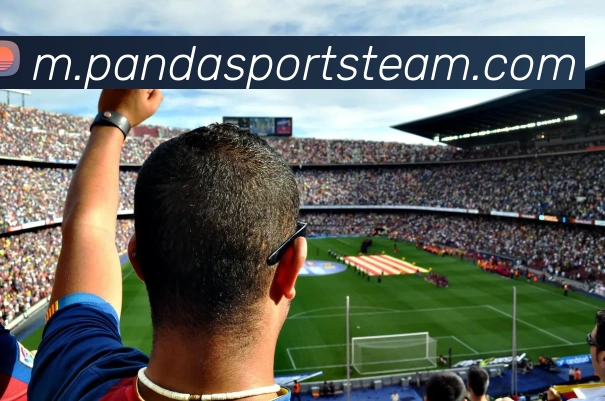 多媒体互动体验